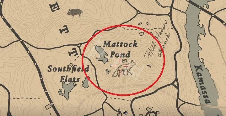 《荒野大鏢客2》狐狸用什麽槍打 狐狸完美皮毛攻略指南