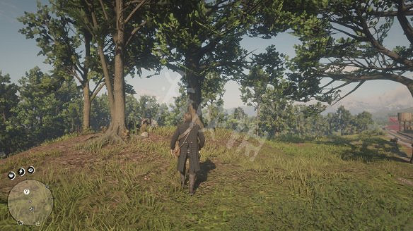 《荒野大鏢客2》圖文攻略:主線流程+支線任務+槍械系統+服裝系統+戰鬥系統+狩獵系統+馬匹系統+地圖資源+榮譽系統+介面介紹+上手操作 《荒野大鏢客2》圖文攻略:主線流程+支線任務+槍械系統+服裝系統+戰鬥系統+狩獵系統+馬匹系統+地圖資源+榮譽系統+介面介紹+上手操作