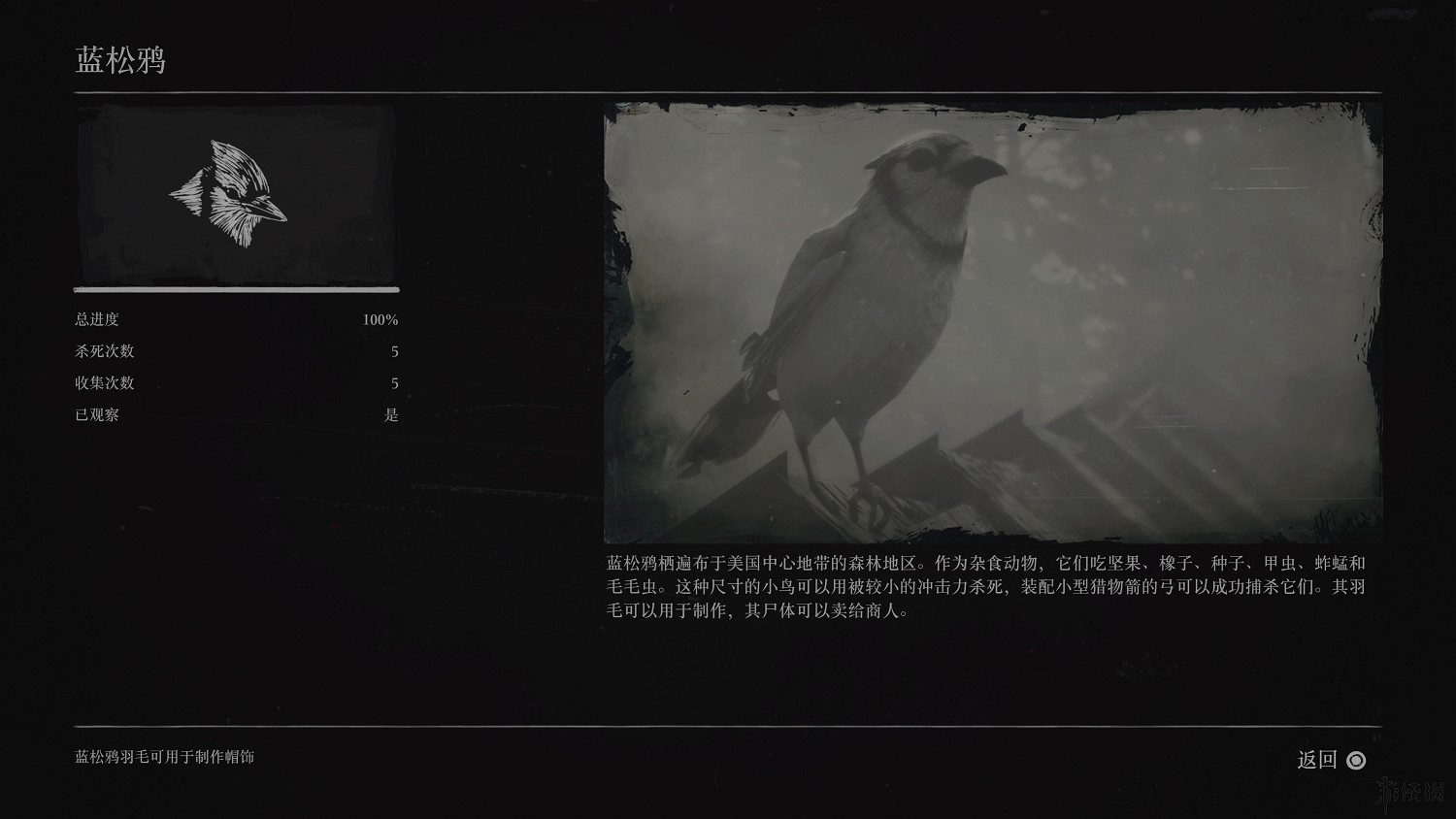 《荒野大鏢客2》全動物圖鑒訊息匯總 全動物獎杯要點分享