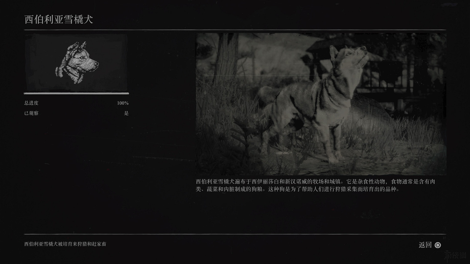 《荒野大鏢客2》全動物圖鑒訊息匯總 全動物獎杯要點分享