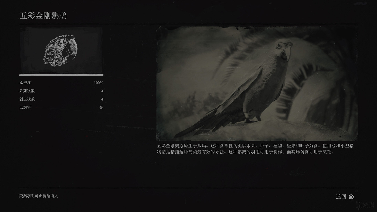 《荒野大鏢客2》全動物圖鑒訊息匯總 全動物獎杯要點分享