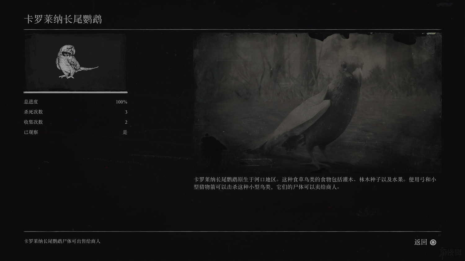 《荒野大鏢客2》全動物圖鑒訊息匯總 全動物獎杯要點分享