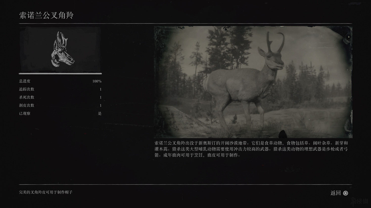 《荒野大鏢客2》全動物圖鑒訊息匯總 全動物獎杯要點分享