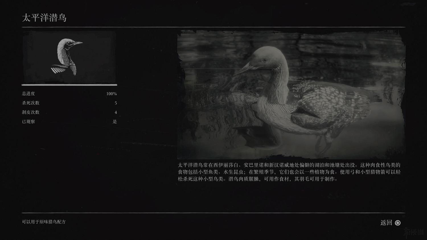 《荒野大鏢客2》全動物圖鑒訊息匯總 全動物獎杯要點分享