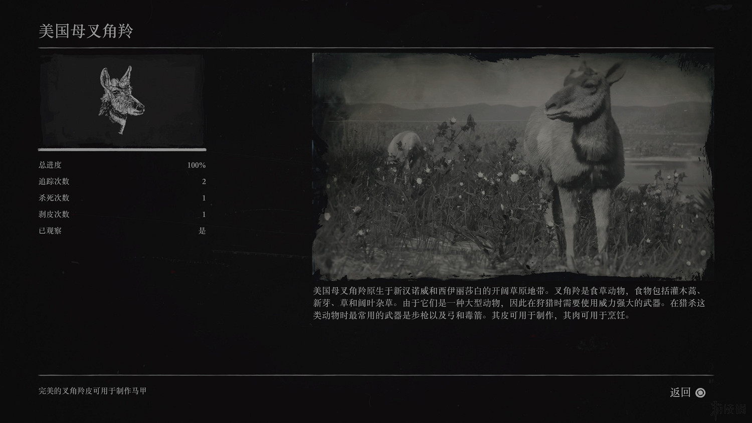 《荒野大鏢客2》全動物圖鑒訊息匯總 全動物獎杯要點分享