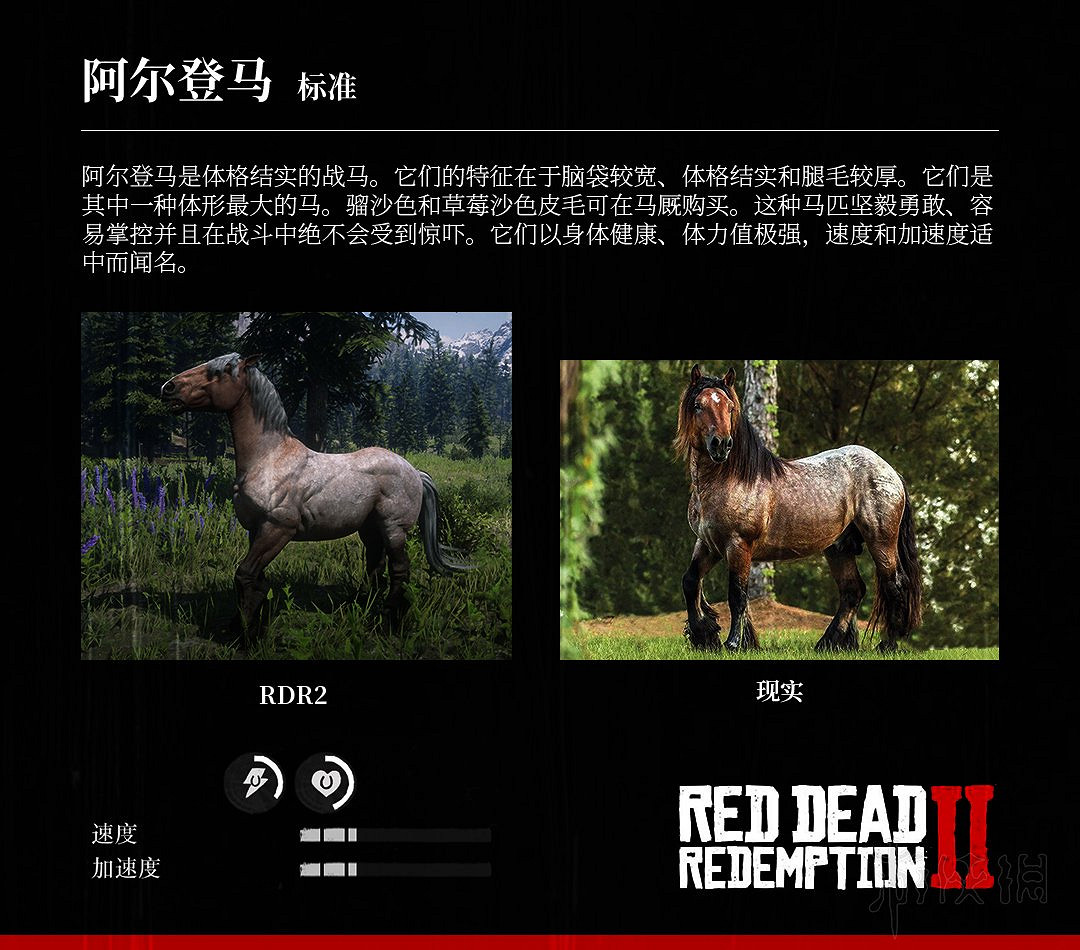 《荒野大鏢客2》全馬匹特性與原型對比分享 馬匹種類介紹 《荒野大鏢客2》全馬匹特性與原型對比分享 馬匹種類介紹