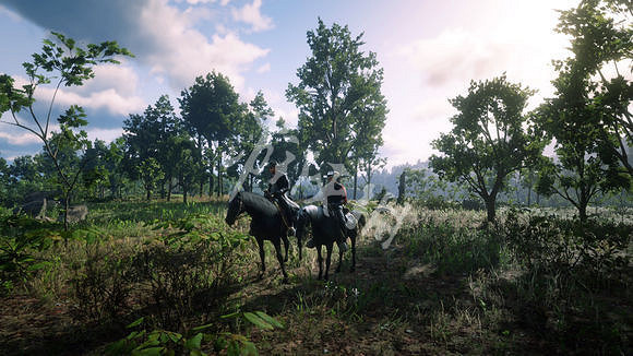 《荒野大鏢客2》新手武器推薦 新手技巧分享 《荒野大鏢客2》新手武器推薦 新手技巧分享