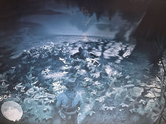 《荒野大鏢客2》小龍蝦的位置在哪裡？小龍蝦位置一覽