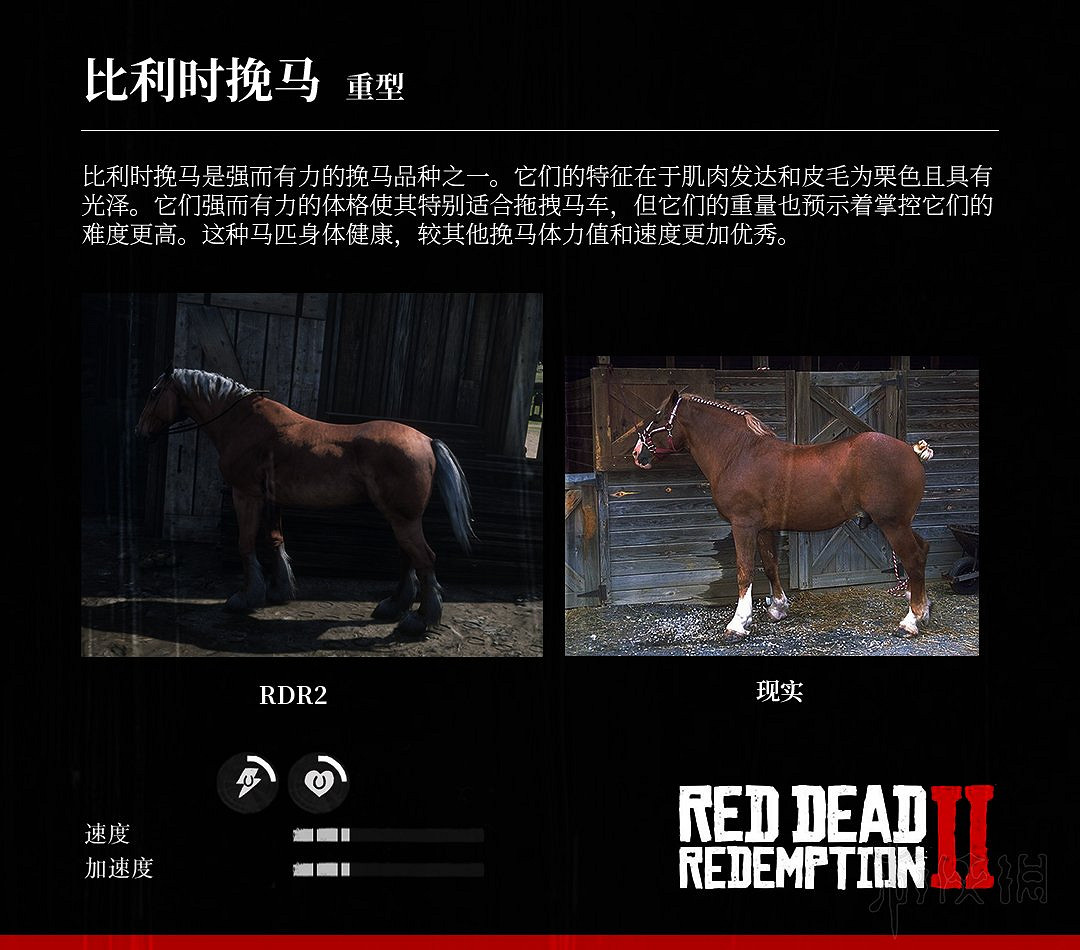 《荒野大鏢客2》全馬匹特性與原型對比分享 馬匹種類介紹 《荒野大鏢客2》全馬匹特性與原型對比分享 馬匹種類介紹