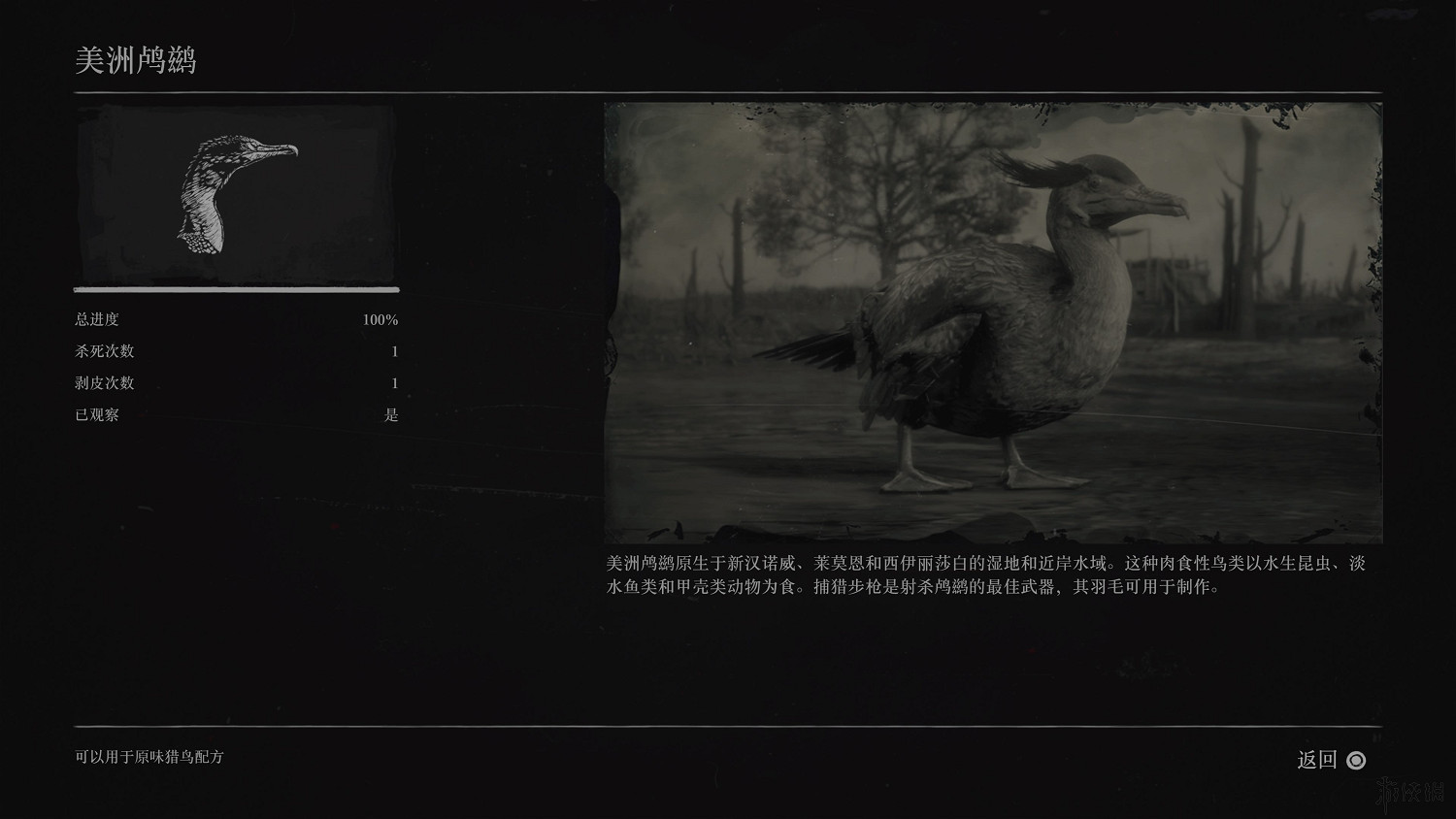 《荒野大鏢客2》全動物圖鑒訊息匯總 全動物獎杯要點分享