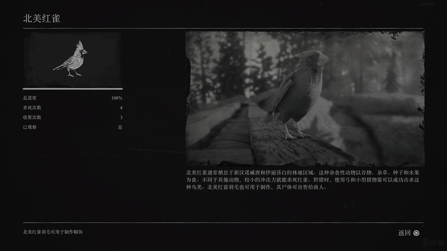 《荒野大鏢客2》全動物圖鑒訊息匯總 全動物獎杯要點分享