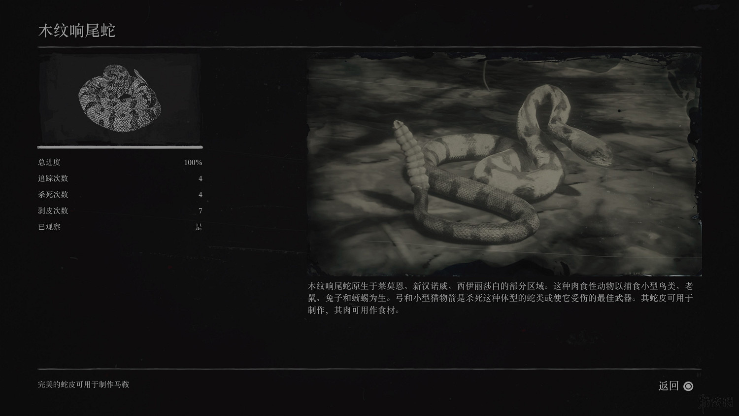 《荒野大鏢客2》全動物圖鑒訊息匯總 全動物獎杯要點分享 《荒野大鏢客2》全動物圖鑒訊息匯總 全動物獎杯要點分享