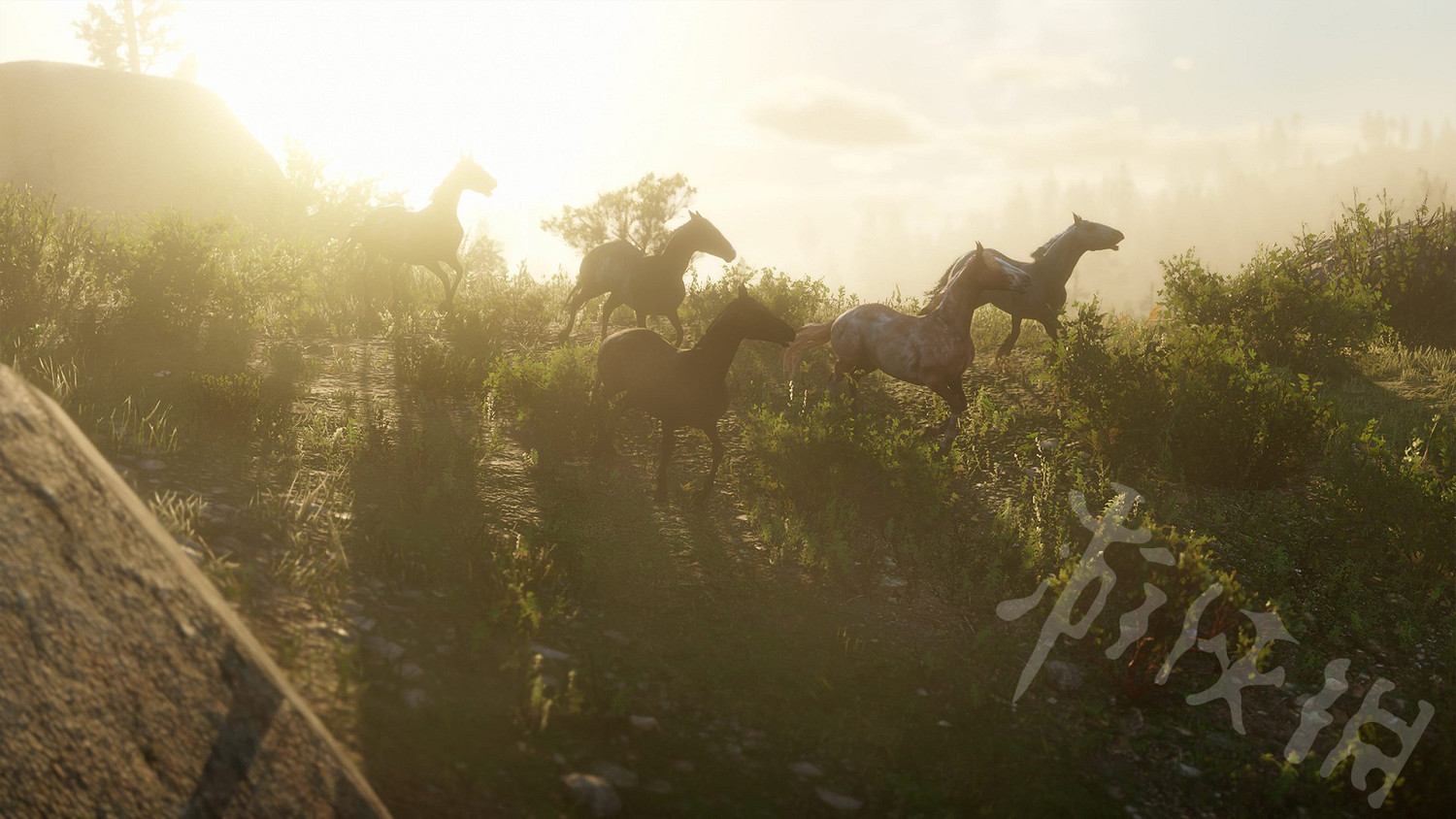 《荒野大鏢客2》線上動物刷新機制是什麽？線上動物刷新機制詳解