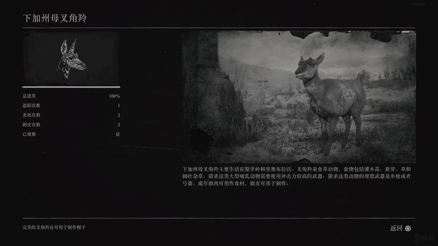 《荒野大鏢客2》全動物圖鑒訊息匯總 全動物獎杯要點分享