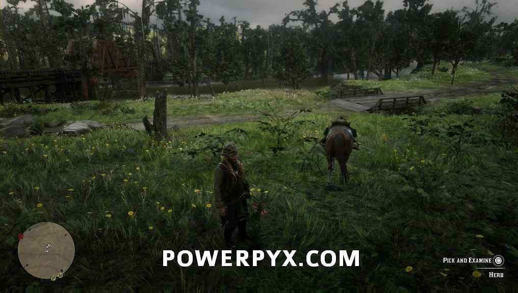 《荒野大鏢客2》營地夥伴需求完成方法介紹 營地夥伴需求有哪些? 《荒野大鏢客2》營地夥伴需求完成方法介紹 營地夥伴需求有哪些?