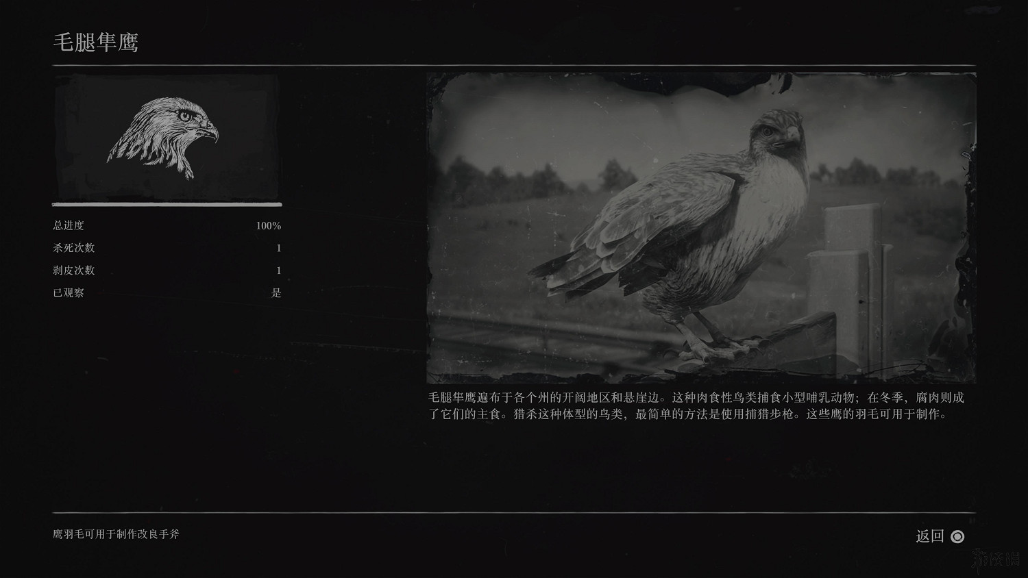 《荒野大鏢客2》全動物圖鑒訊息匯總 全動物獎杯要點分享