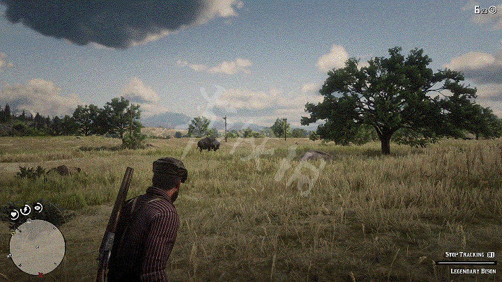 《荒野大鏢客2》野牛用什麽打 野牛皮的用途介紹