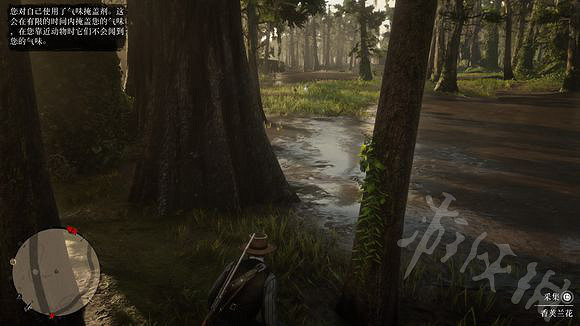 《荒野大鏢客2》各種鷺羽毛怎麽收集?各種鷺羽毛收集攻略 《荒野大鏢客2》各種鷺羽毛怎麽收集?各種鷺羽毛收集攻略