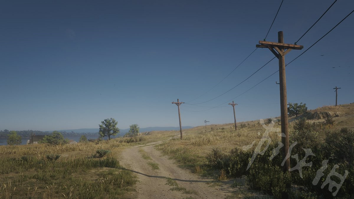 《荒野大鏢客2》線上模式十級解鎖稀有成就 線上模式十級稀有成就詳解