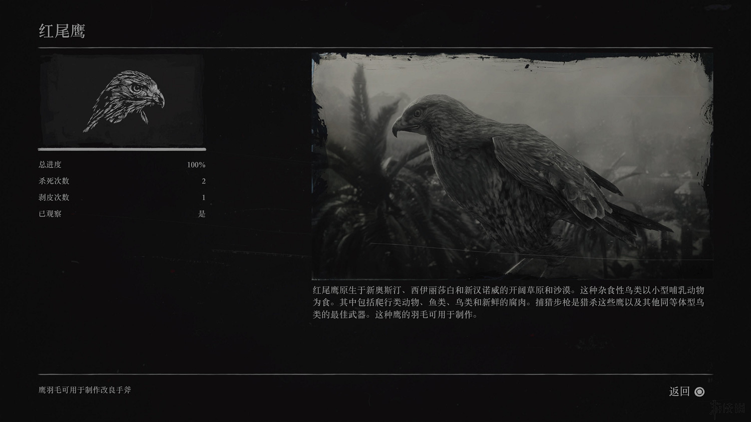 《荒野大鏢客2》全動物圖鑒訊息匯總 全動物獎杯要點分享