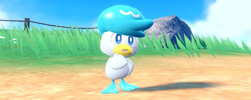 寶可夢朱紫太晶戰賽富豪怎麽配招