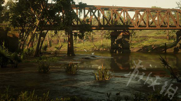 《荒野大鏢客2》各種鷺羽毛怎麽收集?各種鷺羽毛收集攻略 《荒野大鏢客2》各種鷺羽毛怎麽收集?各種鷺羽毛收集攻略