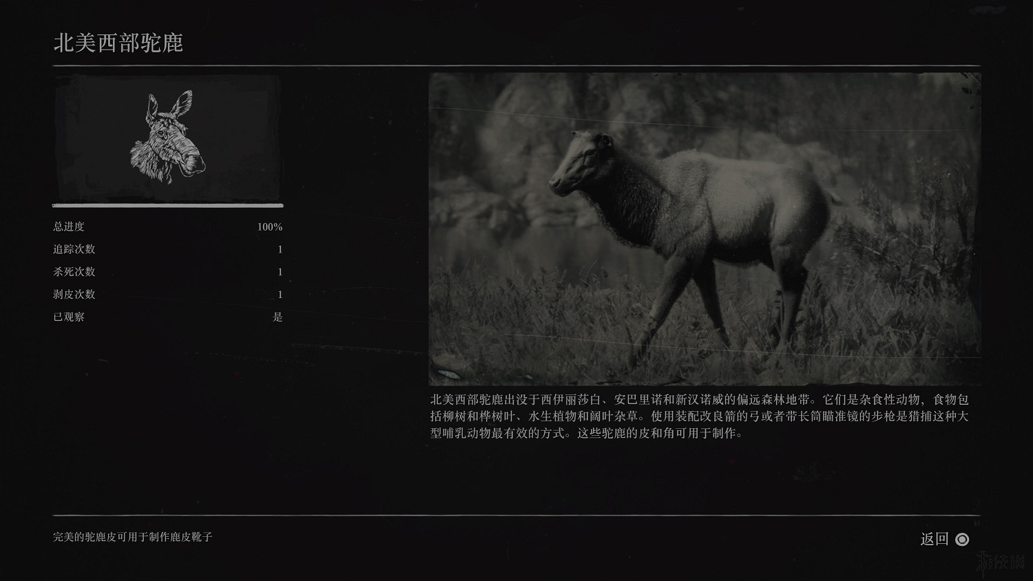 《荒野大鏢客2》全動物圖鑒訊息匯總 全動物獎杯要點分享