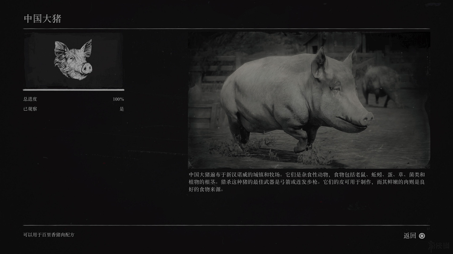 《荒野大鏢客2》全動物圖鑒訊息匯總 全動物獎杯要點分享 《荒野大鏢客2》全動物圖鑒訊息匯總 全動物獎杯要點分享