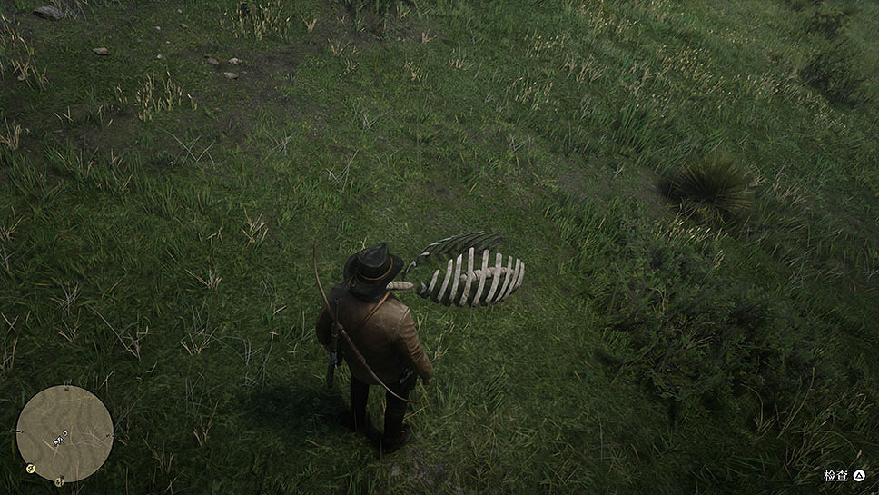 《荒野大鏢客2》恐龍骨在哪裡？全恐龍骨收集位置一覽
