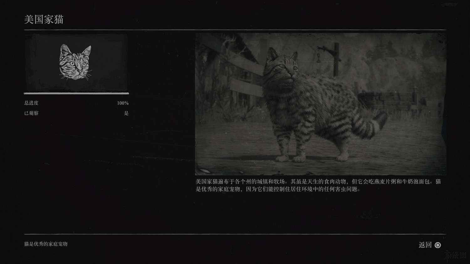 《荒野大鏢客2》全動物圖鑒訊息匯總 全動物獎杯要點分享