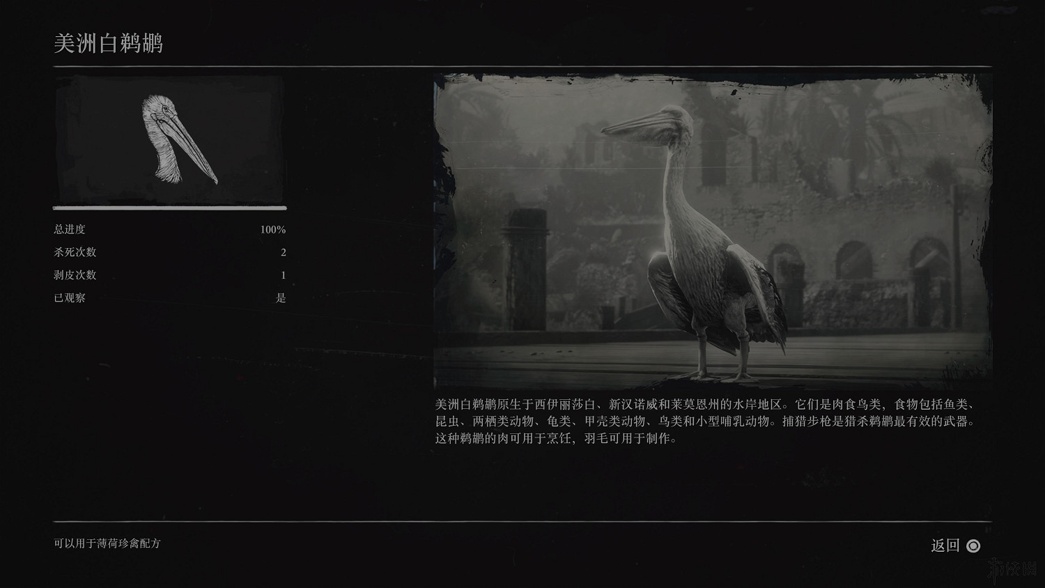 《荒野大鏢客2》全動物圖鑒訊息匯總 全動物獎杯要點分享