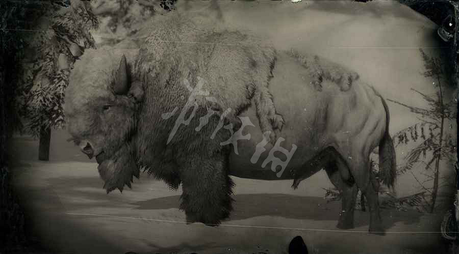 《荒野大鏢客2》傳奇動物圖鑒大全 傳奇動物位置在哪裡？