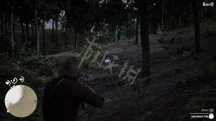 《荒野大鏢客2》狐狸用什麽槍打 狐狸完美皮毛攻略指南