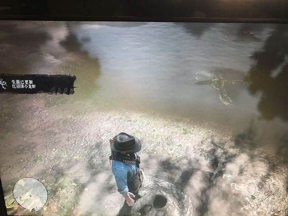 《荒野大鏢客2》小龍蝦的位置在哪裡？小龍蝦位置一覽