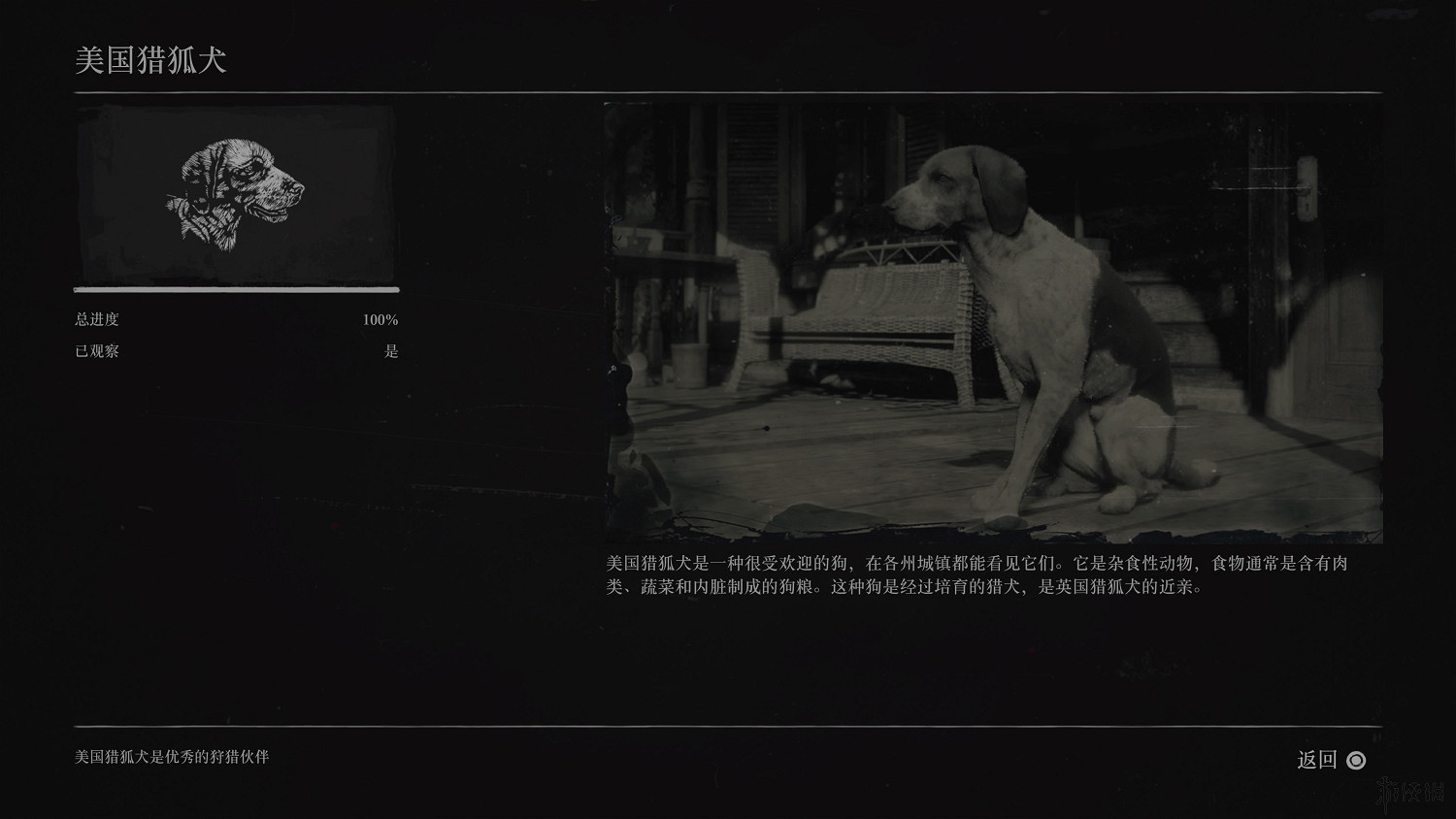 《荒野大鏢客2》全動物圖鑒訊息匯總 全動物獎杯要點分享 《荒野大鏢客2》全動物圖鑒訊息匯總 全動物獎杯要點分享