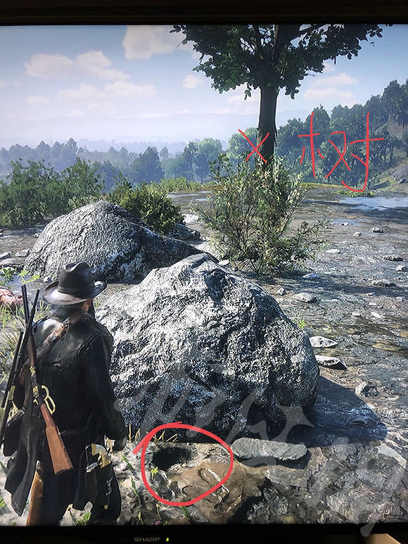 《荒野大鏢客2》屠戶灣寶藏在哪？屠戶灣寶藏位置介紹
