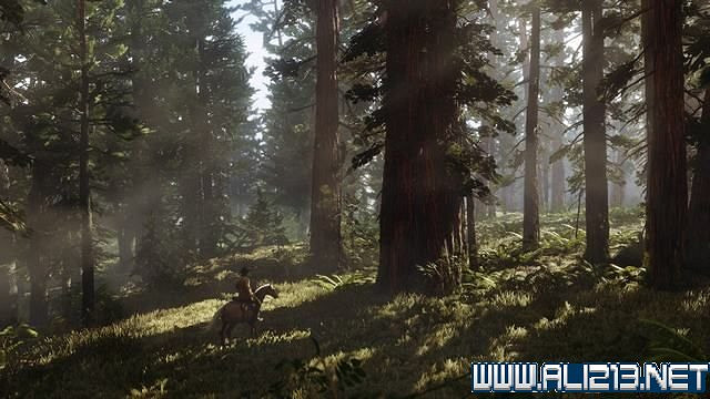 《荒野大鏢客2》通關流程圖文詳解 收集要素有哪些？