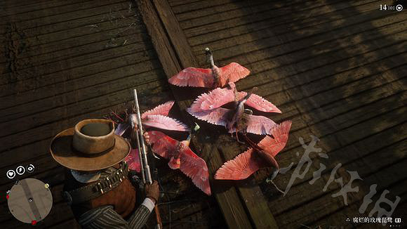 《荒野大鏢客2》各種鷺羽毛怎麽收集？各種鷺羽毛收集攻略