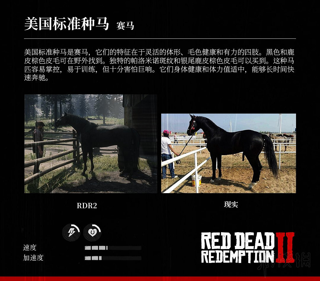 《荒野大鏢客2》全馬匹特性與原型對比分享 馬匹種類介紹 《荒野大鏢客2》全馬匹特性與原型對比分享 馬匹種類介紹