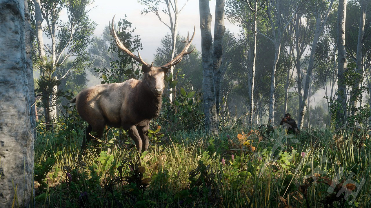 《荒野大鏢客2》北美紅雀和紅腹啄木鳥在哪？北美紅雀和紅腹啄木鳥位置一覽