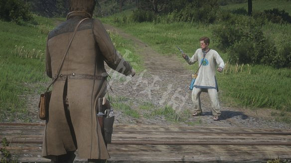 《荒野大鏢客2》圖文攻略:主線流程+支線任務+槍械系統+服裝系統+戰鬥系統+狩獵系統+馬匹系統+地圖資源+榮譽系統+介面介紹+上手操作 《荒野大鏢客2》圖文攻略:主線流程+支線任務+槍械系統+服裝系統+戰鬥系統+狩獵系統+馬匹系統+地圖資源+榮譽系統+介面介紹+上手操作