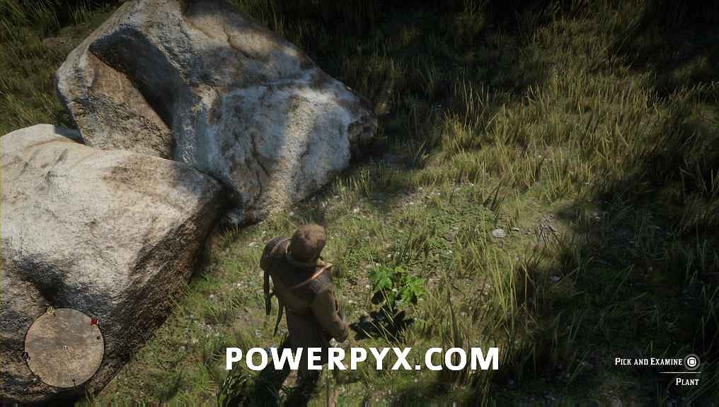 《荒野大鏢客2》野外隨機事件有哪些?全野外隨機事件說明 《荒野大鏢客2》野外隨機事件有哪些?全野外隨機事件說明