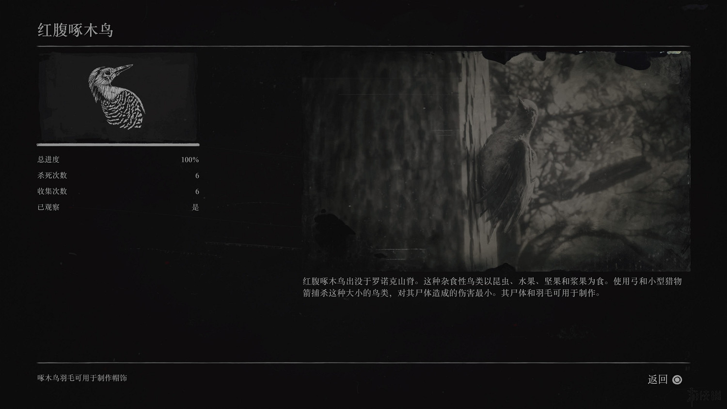 《荒野大鏢客2》全動物圖鑒訊息匯總 全動物獎杯要點分享 《荒野大鏢客2》全動物圖鑒訊息匯總 全動物獎杯要點分享