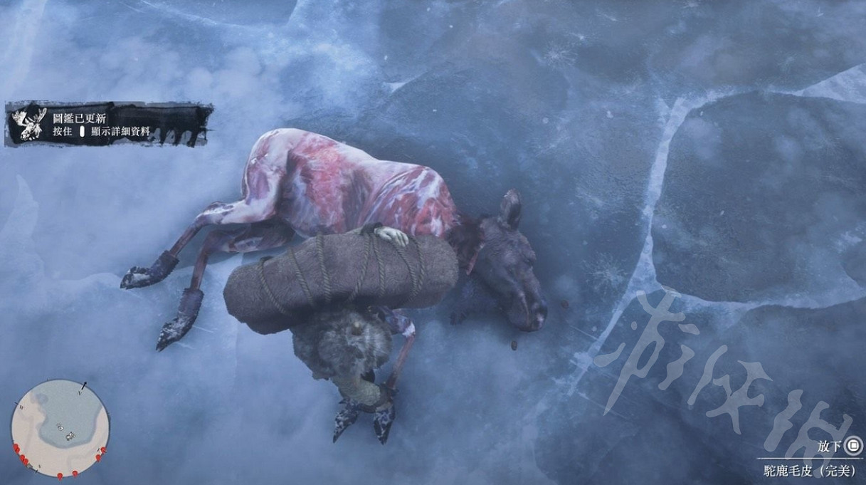 《荒野大鏢客2》駝鹿怎麽狩獵?狩獵駝鹿攻略心得 《荒野大鏢客2》駝鹿怎麽狩獵?狩獵駝鹿攻略心得