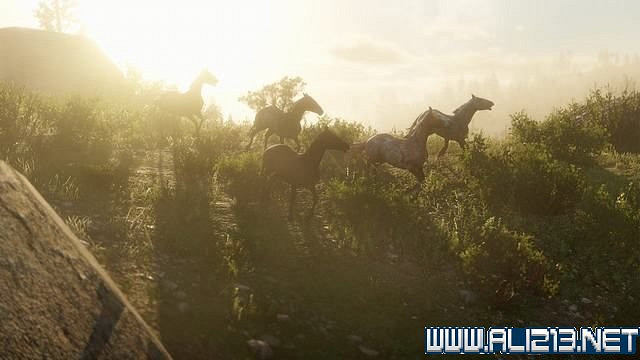 《荒野大鏢客2》通關流程圖文詳解 收集要素有哪些？