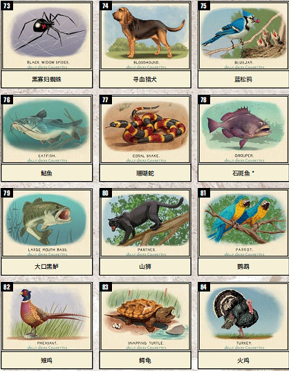 《荒野大鏢客2》全香煙卡圖鑒一覽 香煙卡有哪些