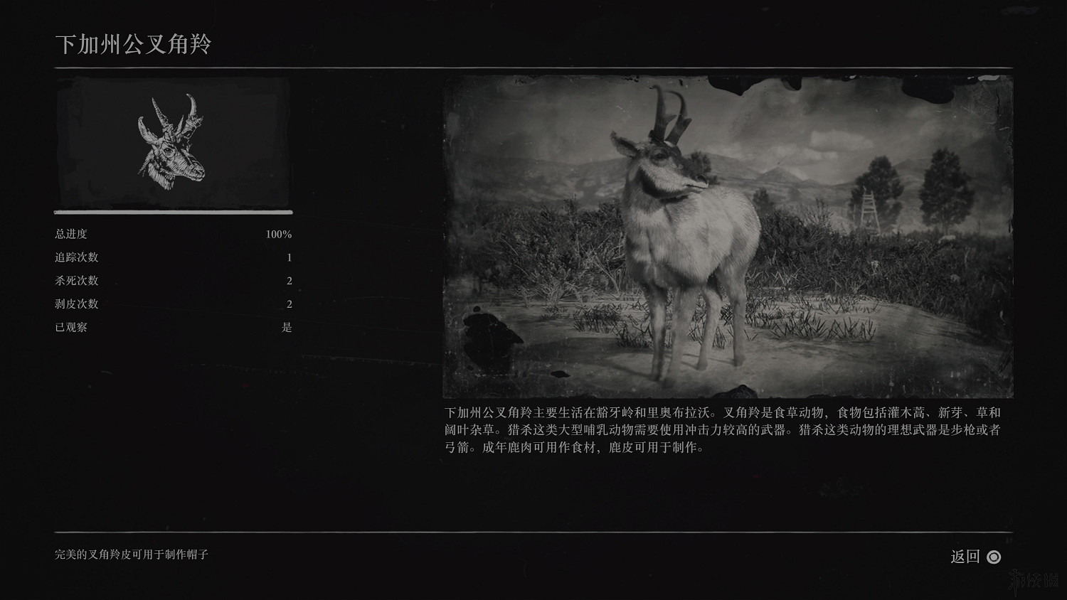 《荒野大鏢客2》全動物圖鑒訊息匯總 全動物獎杯要點分享