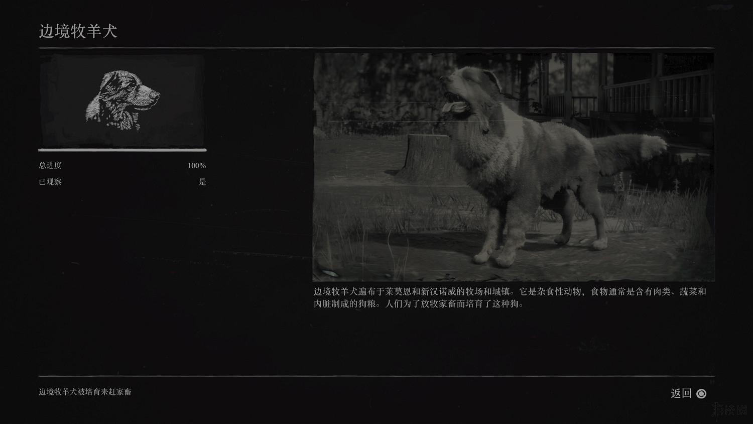 《荒野大鏢客2》全動物圖鑒訊息匯總 全動物獎杯要點分享 《荒野大鏢客2》全動物圖鑒訊息匯總 全動物獎杯要點分享