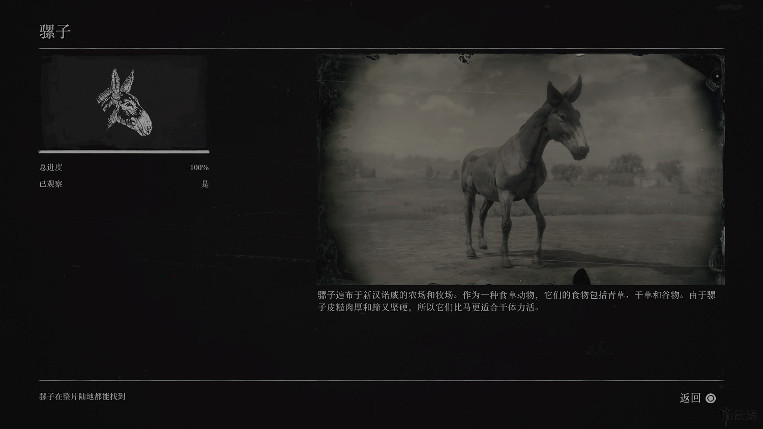 《荒野大鏢客2》全動物圖鑒訊息匯總 全動物獎杯要點分享