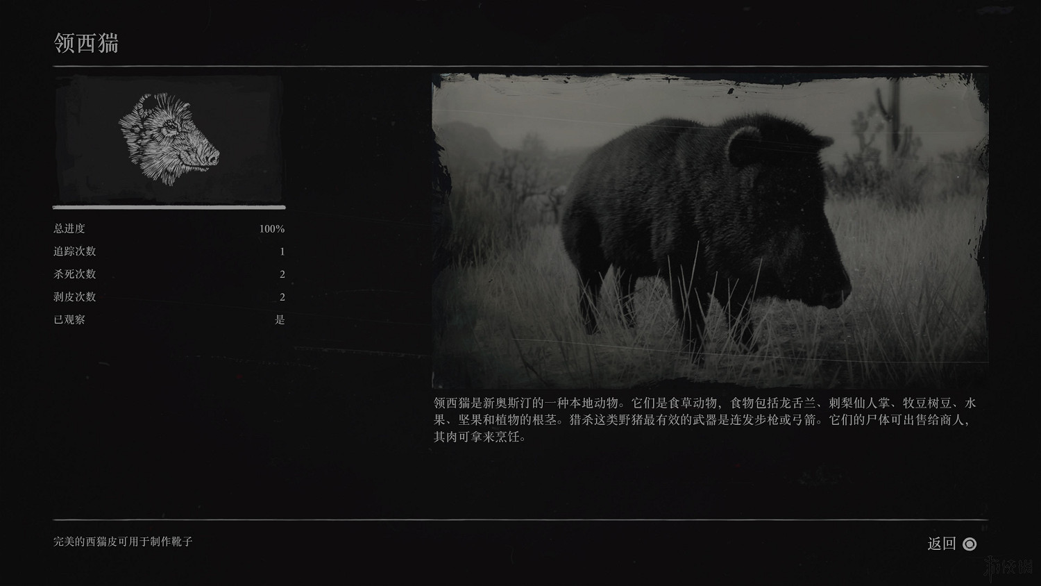 《荒野大鏢客2》全動物圖鑒訊息匯總 全動物獎杯要點分享